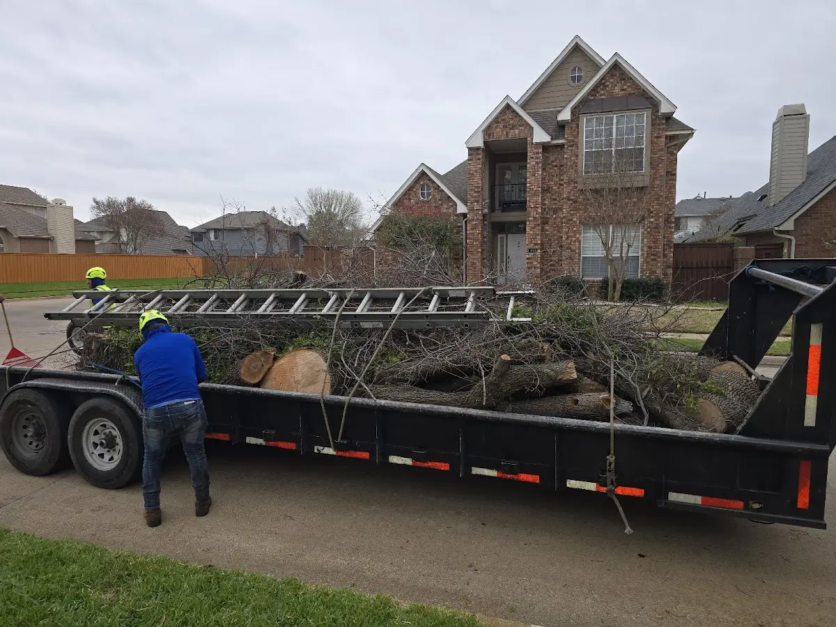 Expert Tree Pest Control with proper safety equipment in Emery
